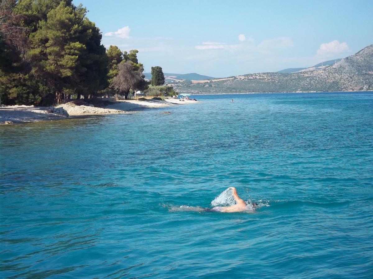 Athineon Ξενοδοχείο Νυδρί Εξωτερικό φωτογραφία